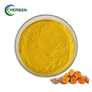 Rent curcumin pulver