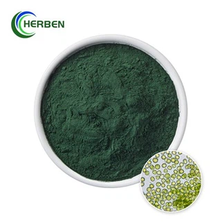 Chlorella Vulgaris pulver