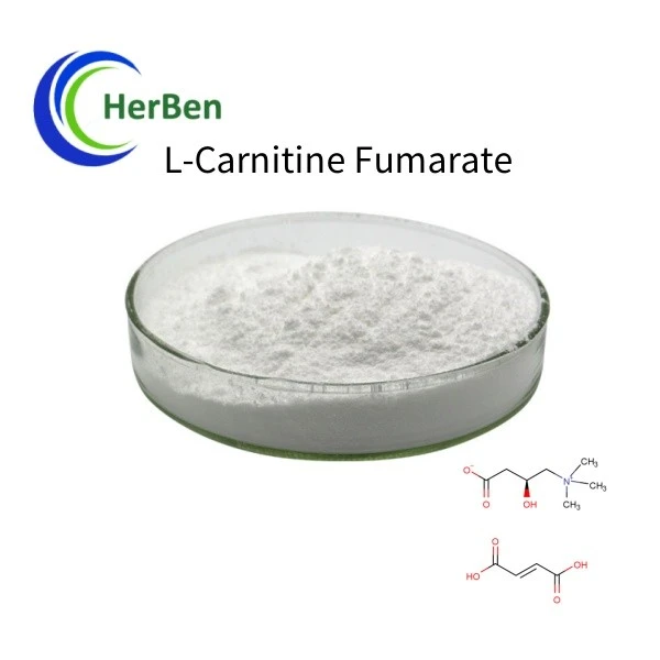L-carnitine fumarat cas nr. 90471-79-7